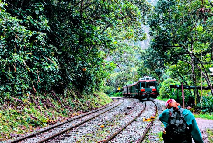Bus Directo Arequipa - Puno (Mañana)